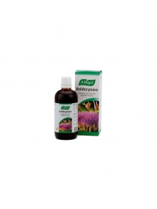 BOLDOCYNARA GOTAS 100ML BIO - A.VOGEL - 7610313450848 no_image