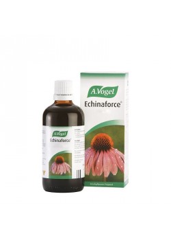 ECHINAFORCE 100ML - A.VOGEL - 7610313450794