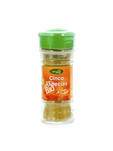 CINCO ESPECIAS 30GR BIO - ARTEMIS - 8428201320130