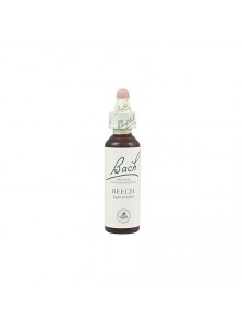 FLOR DE BACH 03 BEECH 20ML - BACH ORIGINAL FLOWER REMEDY - 5000488103793