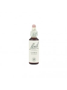 FLOR DE BACH 13 GORSE 20ML - BACH ORIGINAL FLOWER REMEDY - 5000488103892