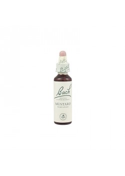 FLOR DE BACH 21 MUSTARD 20ML - BACH ORIGINAL FLOWER REMEDY - 5000488103977
