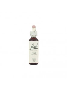 FLOR DE BACH 24 PINE 20ML - BACH ORIGINAL FLOWER REMEDY - 5000488104004