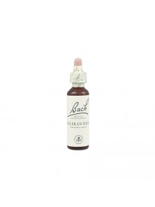 FLOR DE BACH 28 SCLERANTHUS 20ML - BACH ORIGINAL FLOWER REMEDY - 5000488104042