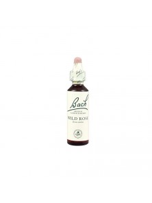FLOR DE BACH 37 WILD ROSE 20ML - BACH ORIGINAL FLOWER REMEDY - 5000488104134