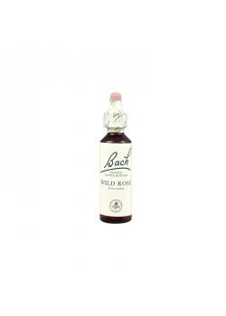 FLOR DE BACH 37 WILD ROSE 20ML - BACH ORIGINAL FLOWER REMEDY - 5000488104134