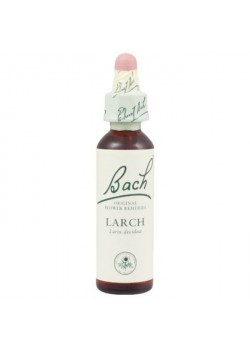 FLOR DE BACH 19 LARCH 20ML - BACH ORIGINAL - 5000488103953