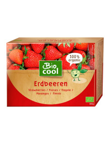 FRESA CONGELADA 300GR BIO - BIO COOL - 4260100263392
