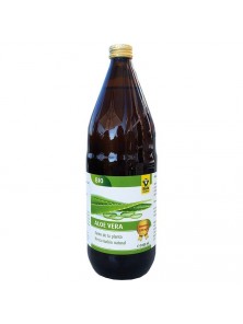 BEBIDA DE ALOE VERA 1L BIO - RAAB - 4019839880437