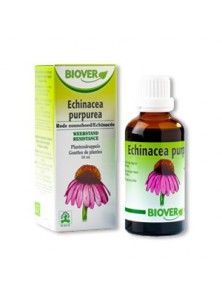 TINTURA ECHINACEA 50ML BIO - BIOVER - 5412141002075