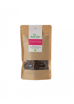 SEMILLAS DE RABANITO MORADO PARA GERMINAR 200GR BIO - BROT D OR - 8435427200313