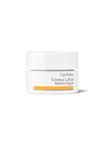 CREMA LABIAL ANTIARRUGAS TARRINA 4,5ML BIO - DR. HAUSCHKA - 42239550 no_image
