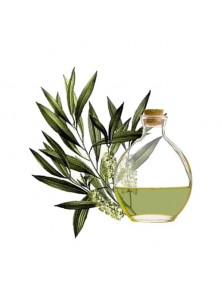ACEITE ESENCIAL ARBOL DEL TÉ 10ML - ECOAROMUZ  - 8436017531862 no_image