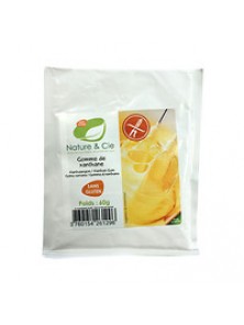 GOMA XANTANA 60GR BIO - NATURE & CIE - 3760154261296 no_image