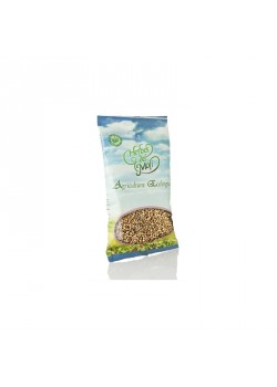 SEMILLAS DE CILANTRO 60GR BIO - HERBES DEL MOLI - 8428201100442