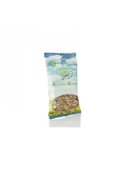 PLANTA EN BOLSA RAIZ ACHICORIA 80GR BIO - HERBES DEL MOLI - 8428201100039