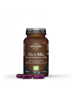 MICO MIX 70 CAPSULAS BIO - HIFAS DA TERRA - 8436561601844