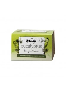 VELA CERA DE ABEJA EUCALIPTO TAMAÑO MEDIANO - MAGE - 5425023301371 no_image