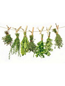 PLANTA EN BOLSA UÑA DE GATO 50GR - FLOR DEL PIRINEO - 8424379323027