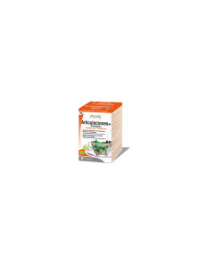 INFUSION ARTICULACIONES 20 BOLSITAS BIO - PHYSALIS - 5412360003808