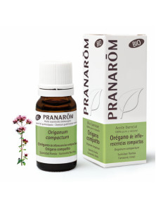 ACEITE ESENCIAL OREGANO ORIGANUM COMPACTUM 10ML BIO - PRANAROM - 5420008507977 no_image