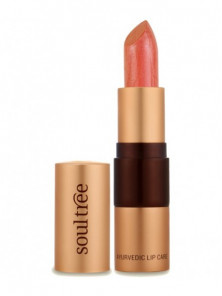 BARRA LABIAL CANTALOUPE 817 4GR BIO - SOULTREE NATURAL GOODNESS - 8906026912063 no_image