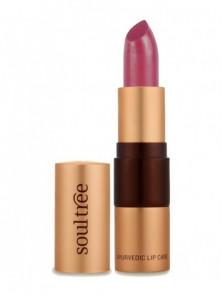 BARRA LABIAL ICED PLUM 520 4GR BIO - SOULTREE NATURAL GOODNESS - 8906026911943 no_image