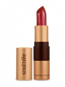 BARRA LABIAL JAVA BROWN 810 4GR BIO - SOULTREE NATURAL GOODNESS - 8906026911998