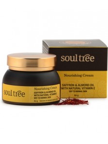 CREMA NUTRITIVA AYURVEDA 60GR BIO - SOULTREE NATURAL GOODNESS - 8906026912247 no_image