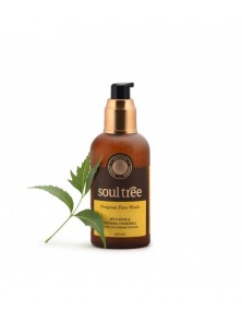 GEL LIMPIADOR FACIAL NUTGRASS PIELES MIXTAS GRASAS 120ML - SOUL TREE - 8906026911035 no_image