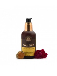 LOCION LIMPIADORA FACIAL ALOE & ROSAS 150ML - SOULTREE - 8906026910984 no_image
