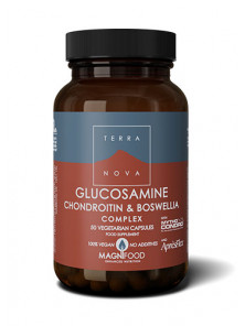 GLUCOSAMINA BOSWELIA MSM 50 CAPSULAS - TERRANOVA - 5060203791681 no_image