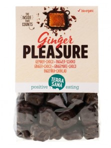JENGIBRE CUBIERTO DE CHOCOLATE 150GR BIO - TERRASANA - 8713576001044