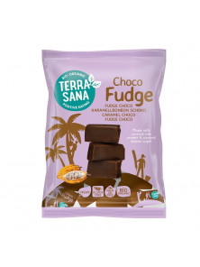 CHOCO FUDGE 150GR BIO - TERRASANA - 8713576003314