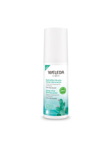 BRUMA FACIAL HIDRATANTE 100ML BIO - WELEDA - 7611916357756 no_image