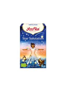 YOGI TEA STAR SALUTATION 17 FILTROS BIO - YOGI TEA - 4012824406131